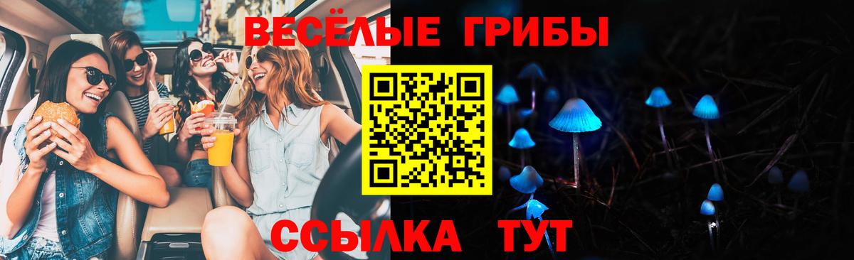Галлюциногенные грибы GOLDEN TEACHER  Вход с VPN  Урус-Мартан 